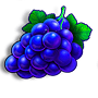 Grape Grape
